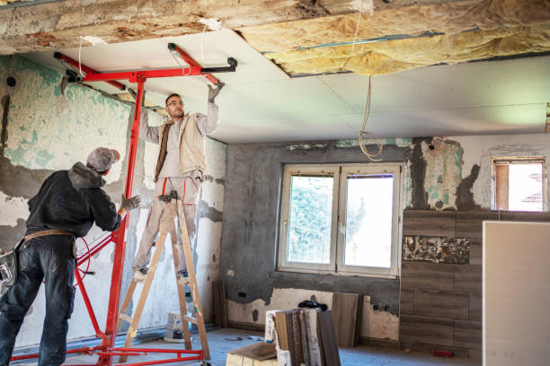 Best Best Insulation Companies  in Lake Of The Woods, VA