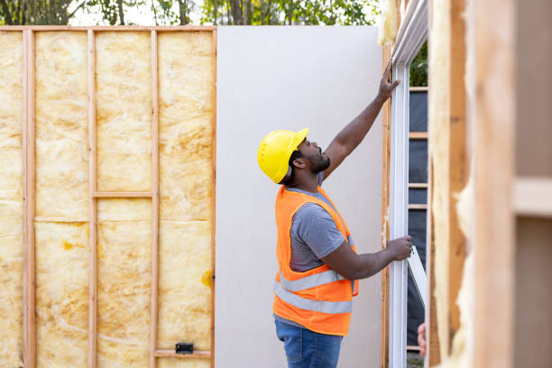 Best Commercial Insulation Contractor  in Lake Of The Woods, VA