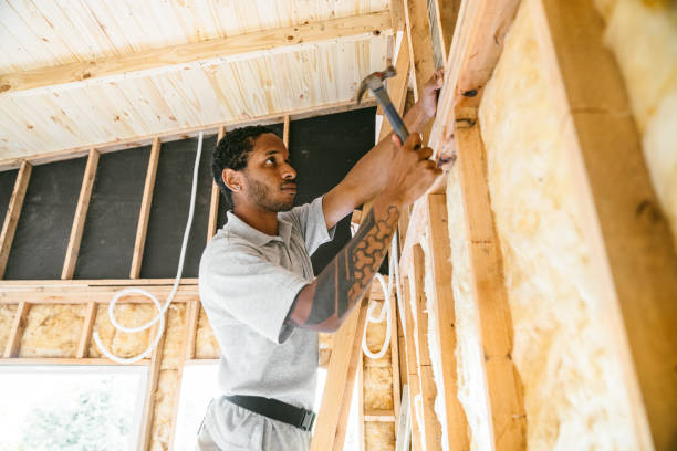 Best Fiberglass Insulation  in Lake Of The Woods, VA